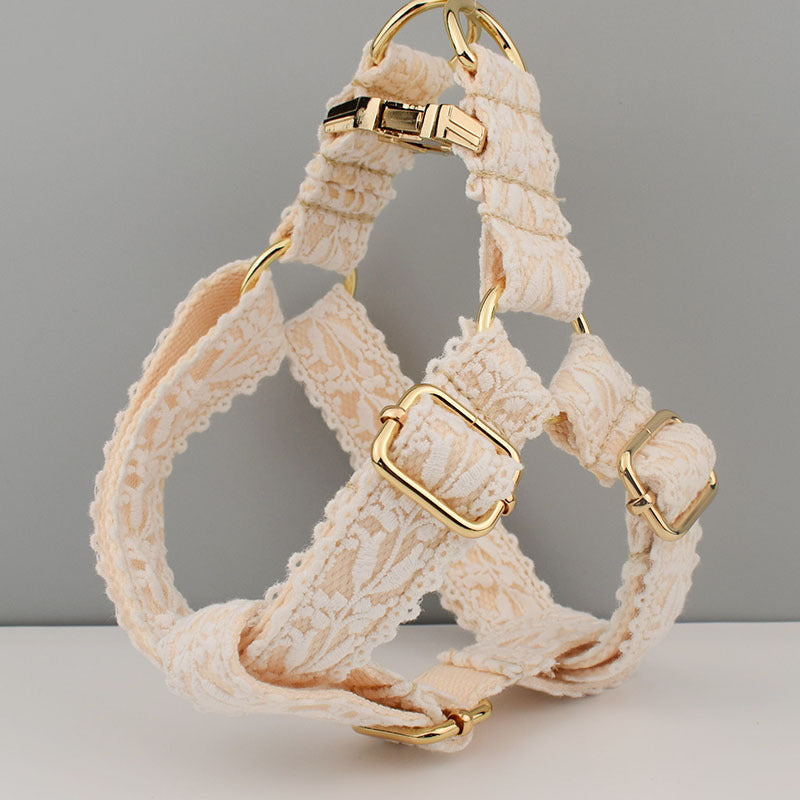 Leaf Lace Strap Gold Buckle Pet Supplies - Boaties Collective