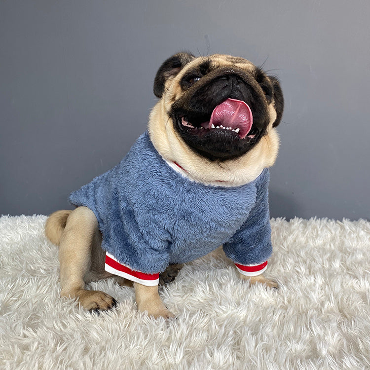 Pet sweater - Boaties Collective