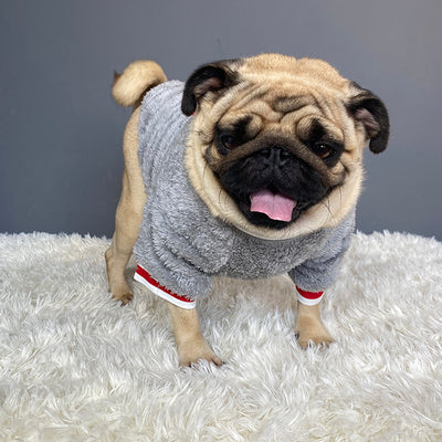 Pet sweater - Boaties Collective