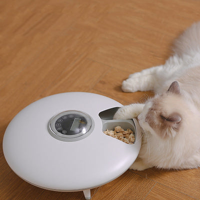 Pet Supplies Automatic Feeder Smart Dog Food Dispenser - Boaties Collective