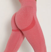 ASHEYWR Fitness Women Sport Seamless Leggings - Boaties Collective