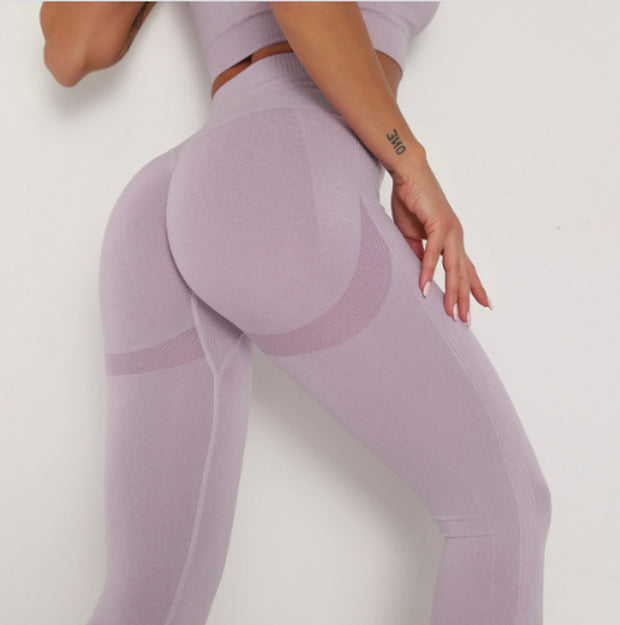 ASHEYWR Fitness Women Sport Seamless Leggings - Boaties Collective