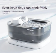 Circulating Pet Water Fountain - Boaties Collective
