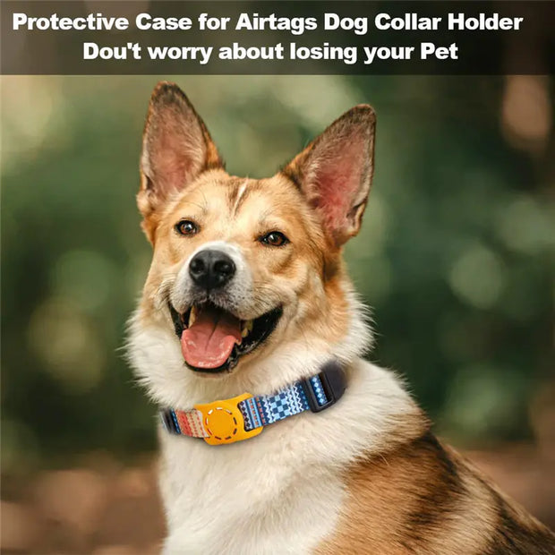 Digital Print Collar for Dogs and Cats - Boaties Collective
