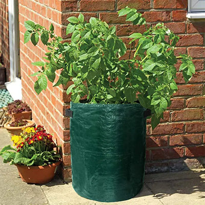 PE Potato Grow Bags - Boaties Collective