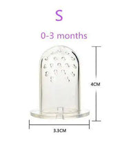 Silicone Teether & Fresh Food Feeder for Babies (3-12 Months) - Boaties Collective
