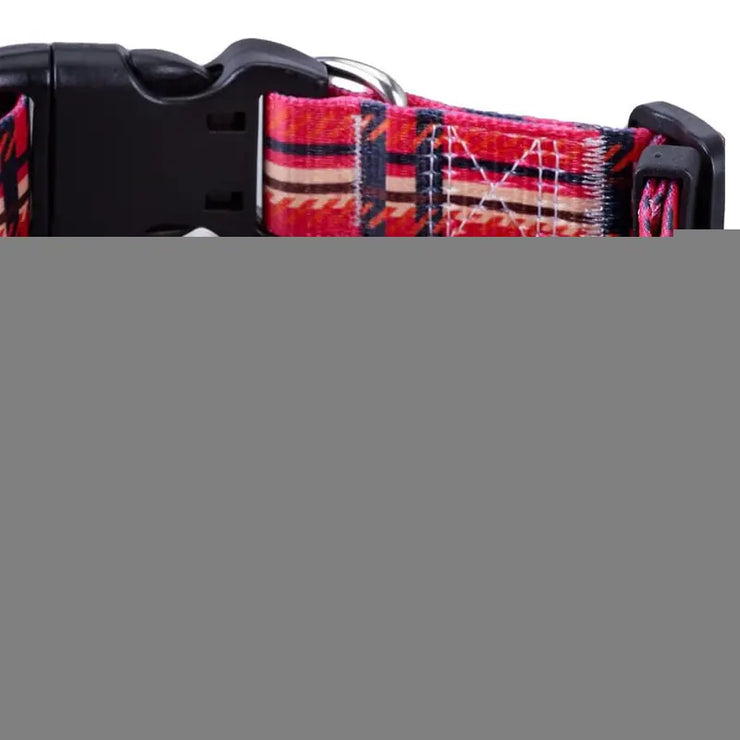 Digital Print Collar for Dogs and Cats - Boaties Collective