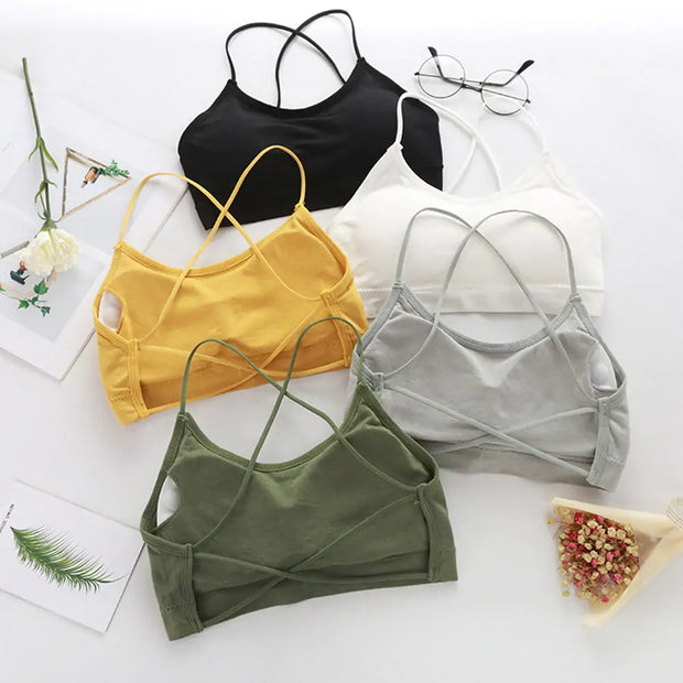 Sexy Fitness Sports Bra - Boaties Collective
