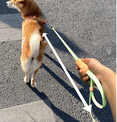 Pet Supplies Retractable Adjustable Dog Leash - Boaties Collective