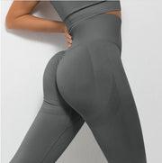 ASHEYWR Fitness Women Sport Seamless Leggings - Boaties Collective