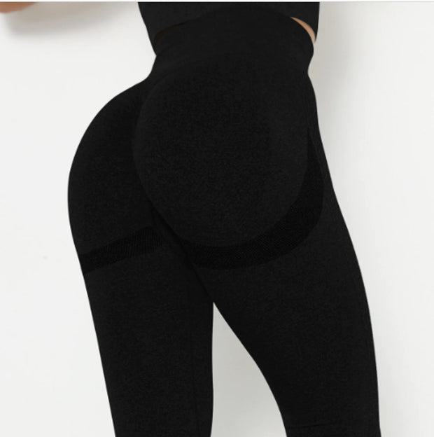 ASHEYWR Fitness Women Sport Seamless Leggings - Boaties Collective